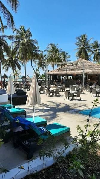 Espace piscine de l’hôtel : transats, parasols de paille et cocotiers face à la mer.